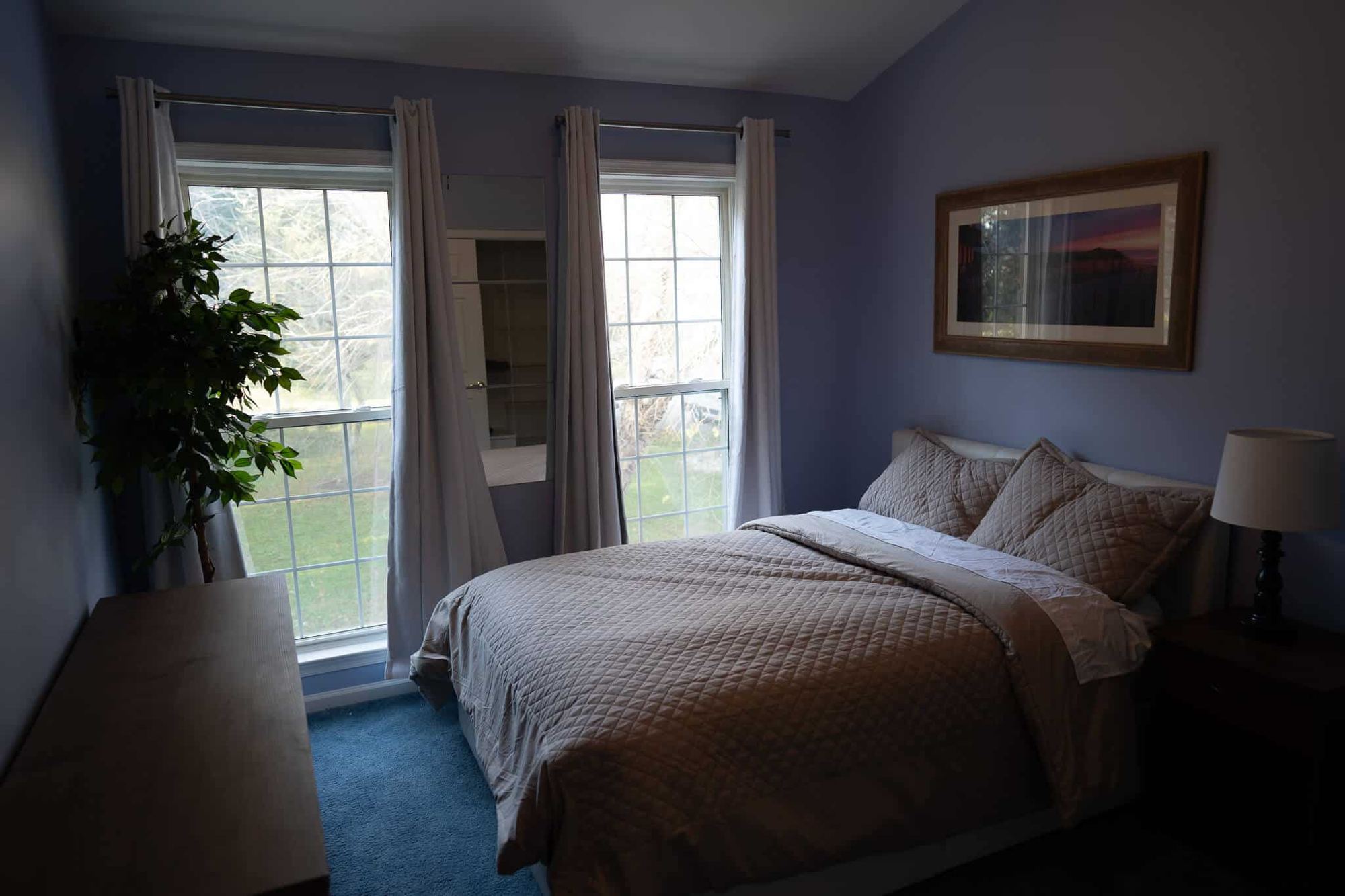 A lavender bedroom with a plant by the window at the Arnold home